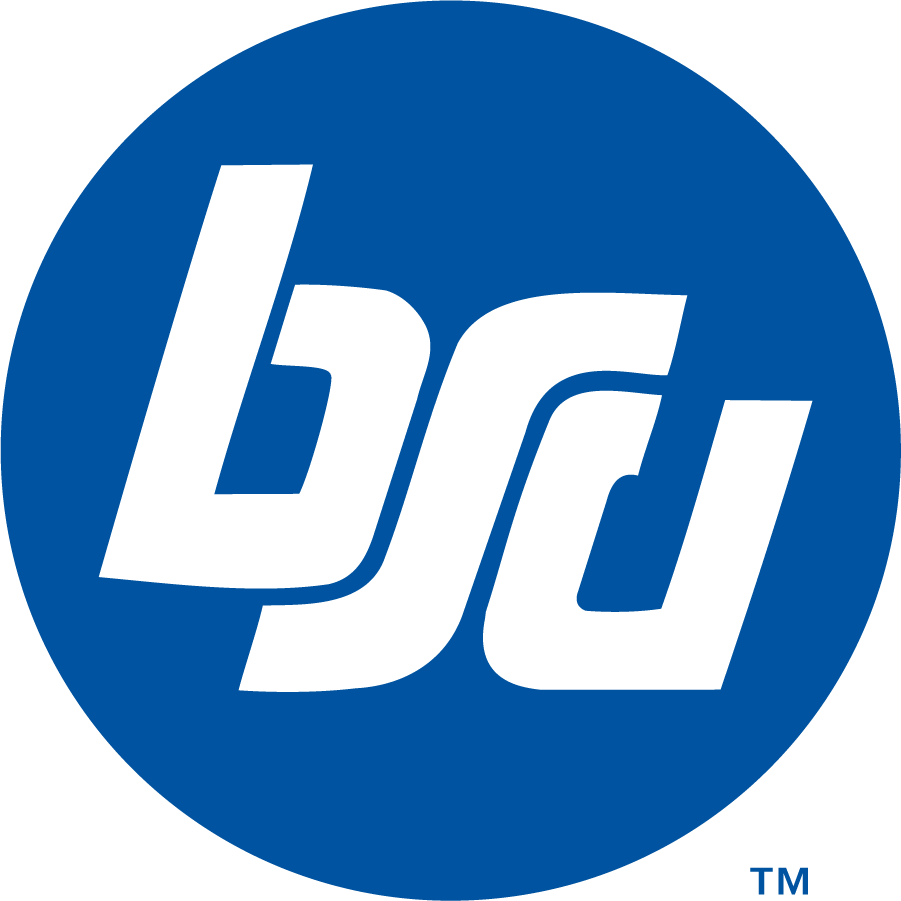 Boise State Broncos 1974-2002 Secondary Logo diy iron on heat transfer